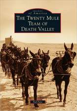 The Twenty Mule Team of Death Valley