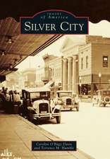 Silver City