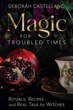 Magic for Troubled Times