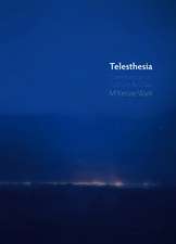 Telesthesia
