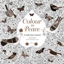 Colour in Peace – A reflective journey