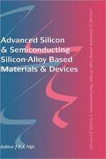 Advanced Silicon & Semiconducting Silicon-Alloy Based Materials & Devices