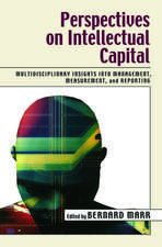 Perspectives on Intellectual Capital