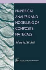 Numerical Analysis and Modelling of Composite Materials