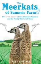 The Meerkats of Summer Farm