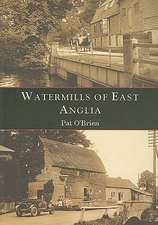 Watermills of East Anglia: A Critical Introduction