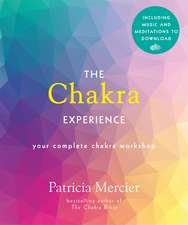 The Chakra Experience: Your Complete Chakra Workshop Book with Audio Download