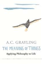 Grayling, A: Meaning of Things