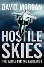 HOSTILE SKIES