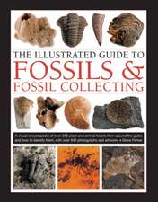 Fossils & Fossil Collecting, The Illustrated Guide to