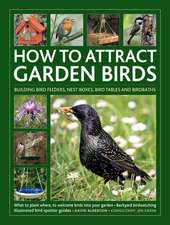 How to Attract Garden Birds