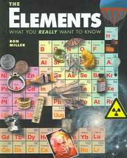 The Elements: What You Really Want to Know