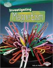 Investigating Magnetism