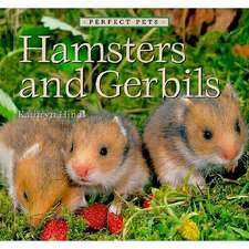 Hamsters and Gerbils