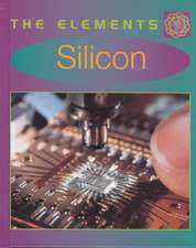 Silicon