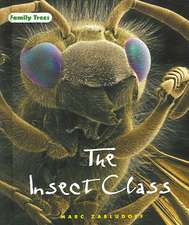 The Insect Class