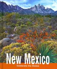 New Mexico