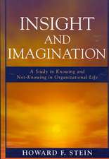 Insight and Imagination