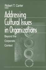 Addressing Cultural Issues in Organizations: Beyond the Corporate Context