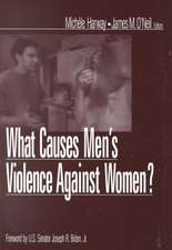 What Causes Men's Violence Against Women?