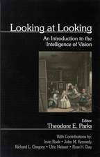 Looking at Looking: An Introduction to the Intelligence of Vision