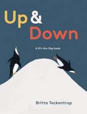 Up & Down: A Lift-The-Flap Book