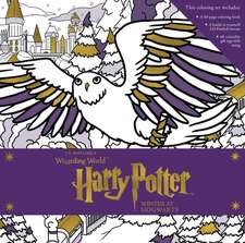 Harry Potter: Winter at Hogwarts: A Magical Coloring Set