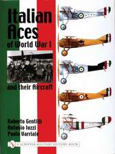 Italian Aces of World War I and their Aircraft