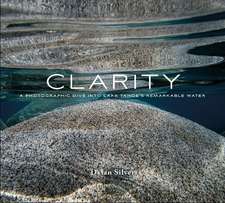 Clarity: A Photographic Dive into Lake Tahoe's Remarkable Water