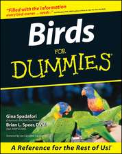 Birds For Dummies