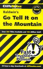 CliffsNotes on Baldwin's Go Tell It on the Mountain