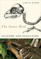 The Inner Bird: Anatomy and Evolution