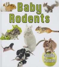 Baby Rodents