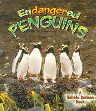 Endangered Penguins