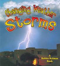 Changing Weather: Storms