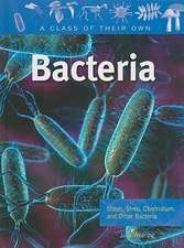 Bacteria: Staph, Strep, Clostridium, and Other Bacteria