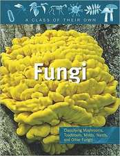 Fungi