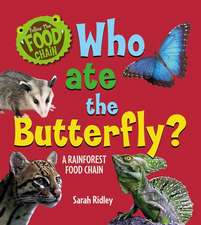 Who Ate the Butterfly? a Rainforest Food Chain