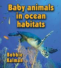 Baby Animals in Ocean Habitats