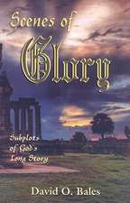 Scenes of Glory: Subplots of God's Long Story