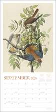 Audubon’s Watercolors 2026 Wall Calendar: The Original Birds of America