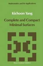 Complete and Compact Minimal Surfaces