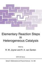 Elementary Reaction Steps in Heterogeneous Catalysis