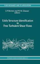 Eddy Structure Identification in Free Turbulent Shear Flows: Selected Papers from the IUTAM Symposium entitled: “Eddy Structures Identification in Free Turbulent Shear Flows” Poitiers, France, 12–14 October 1992