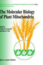 The molecular biology of plant mitochondria