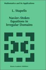 Navier-Stokes Equations in Irregular Domains