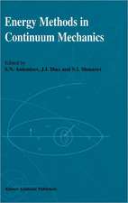 Energy Methods in Continuum Mechanics: Proceedings of the Workshop on Energy Methods for Free Boundary Problems in Continuum Mechanics, held in Oviedo, Spain, March 21–23, 1994