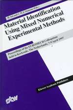 Material Identification Using Mixed Numerical Experimental Methods: Proceedings of the EUROMECH Colloquium held in Kerkrade, The Netherlands, 7–9 April 1997