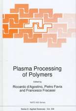 Plasma Processing of Polymers