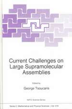 Current Challenges on Large Supramolecular Assemblies